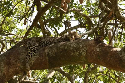 DSC_3978 (Large).JPG